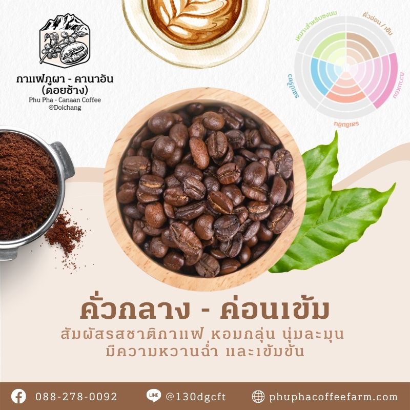 Phupha Coffee farm (ไร่กาแฟภูผา คานาอัน) 14