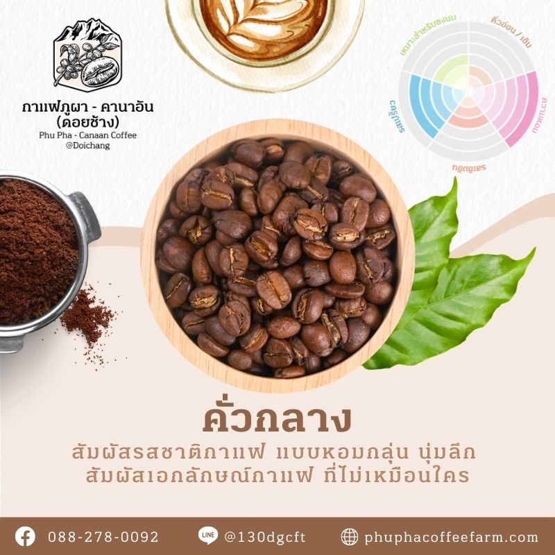 Phupha Coffee farm (ไร่กาแฟภูผา คานาอัน) 15