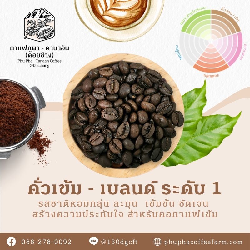 Phupha Coffee farm (ไร่กาแฟภูผา คานาอัน) 16