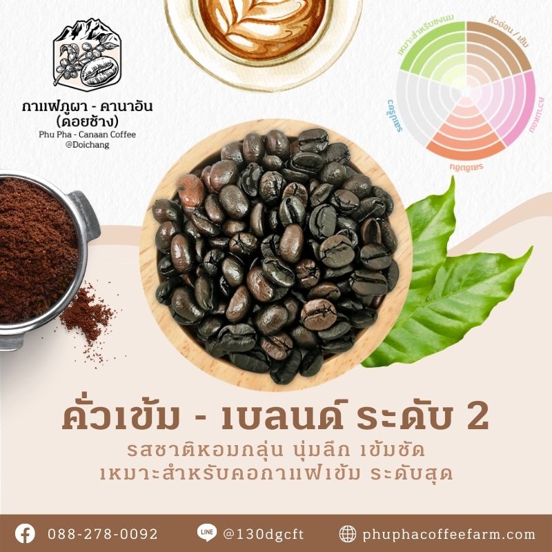 Phupha Coffee farm (ไร่กาแฟภูผา คานาอัน) 17