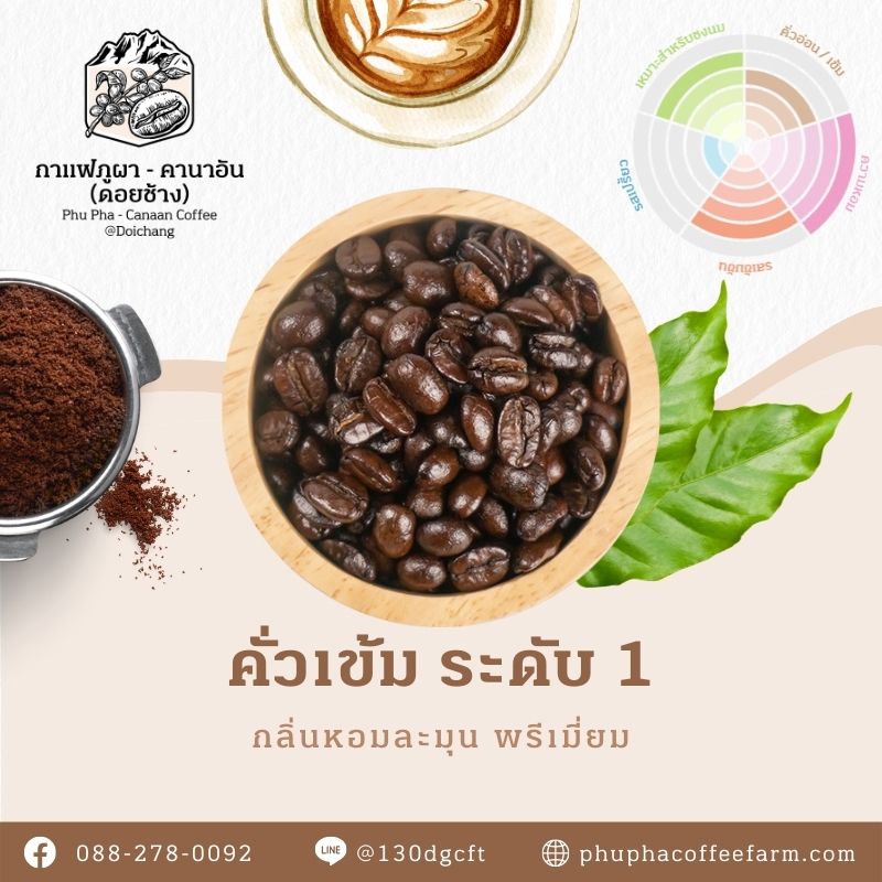Phupha Coffee farm (ไร่กาแฟภูผา คานาอัน) 18