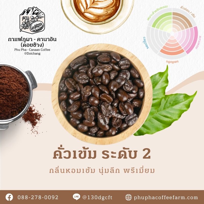 Phupha Coffee farm (ไร่กาแฟภูผา คานาอัน) 19