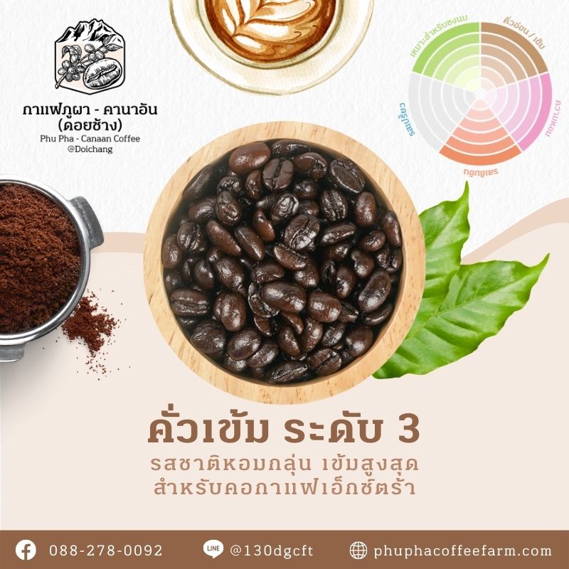 Phupha Coffee farm (ไร่กาแฟภูผา คานาอัน) 20
