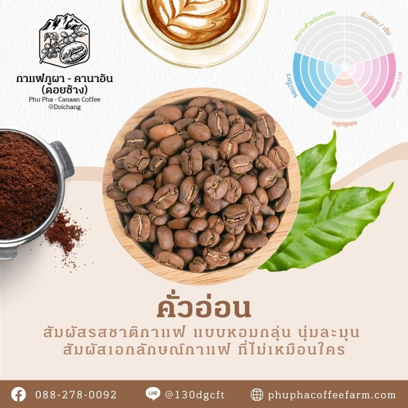 Phupha Coffee farm (ไร่กาแฟภูผา คานาอัน) 21