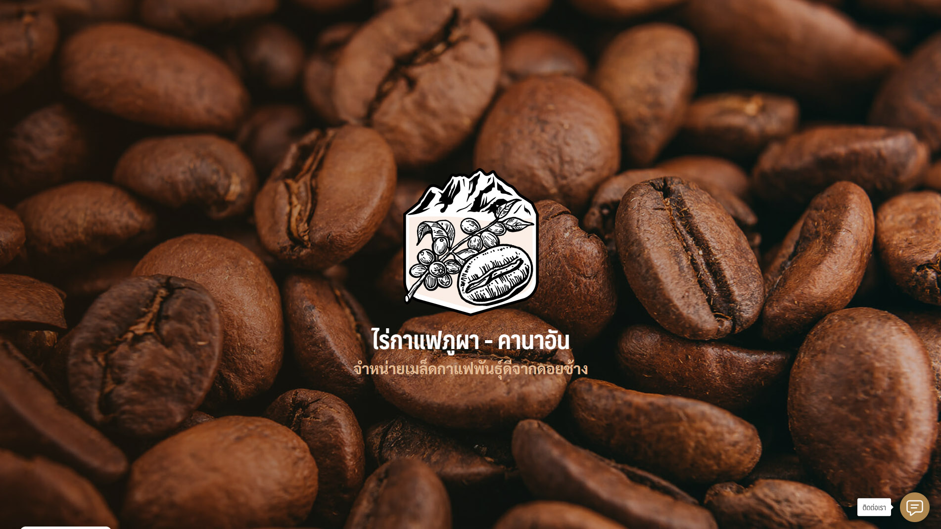 Phupha Coffee farm (ไร่กาแฟภูผา คานาอัน) 3