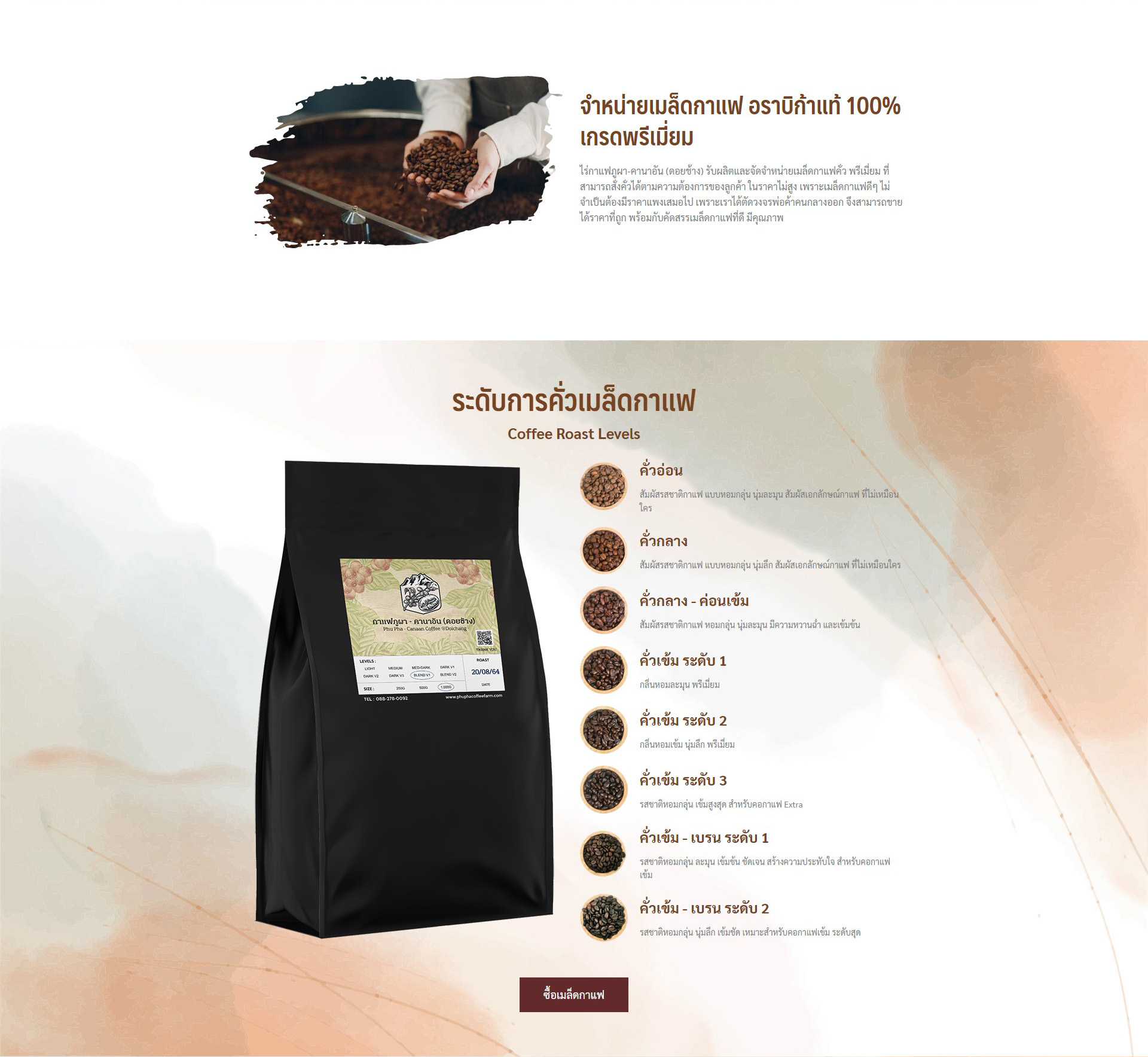 Phupha Coffee farm (ไร่กาแฟภูผา คานาอัน) 4