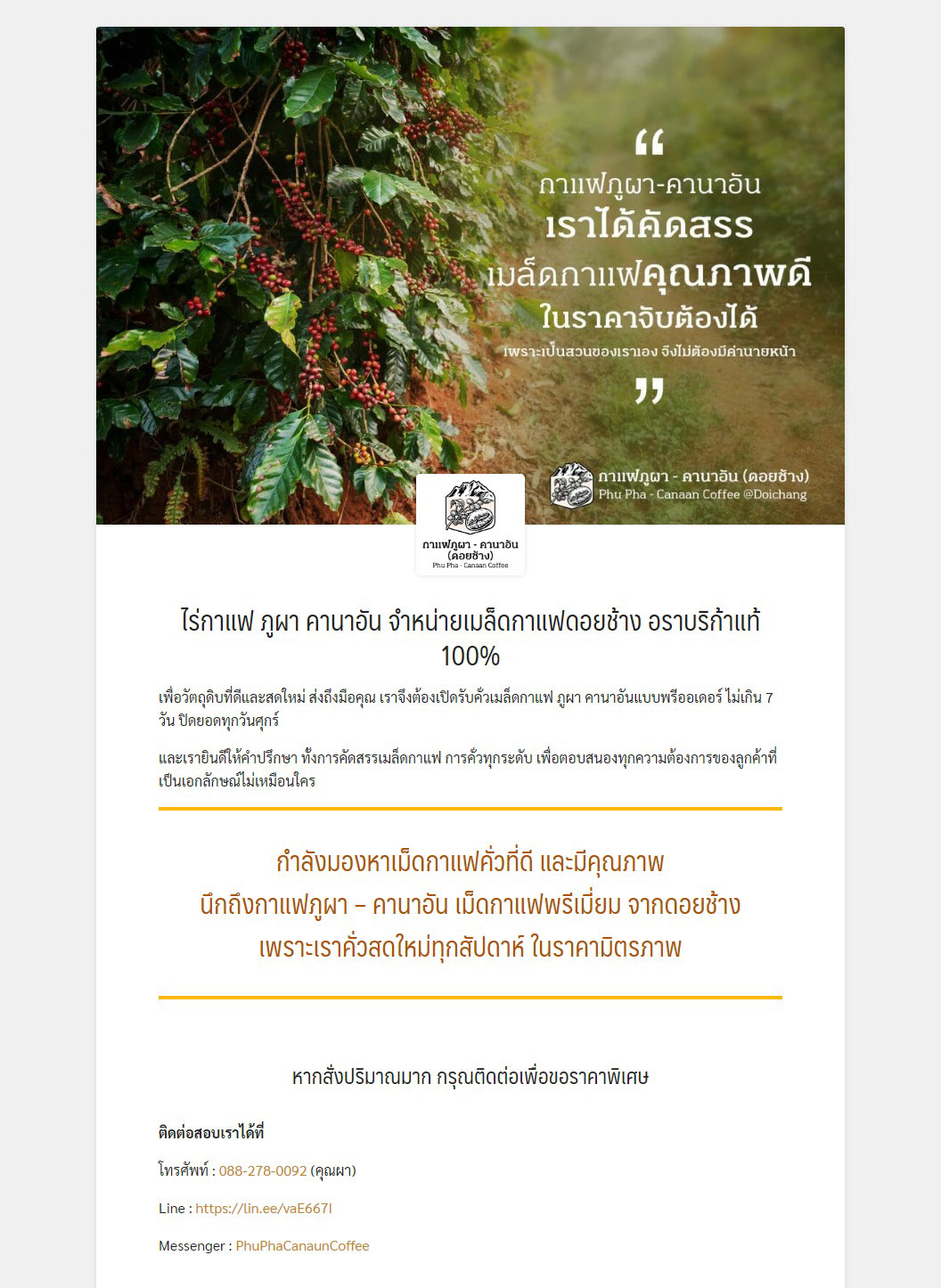 Phupha Coffee farm (ไร่กาแฟภูผา คานาอัน) 9