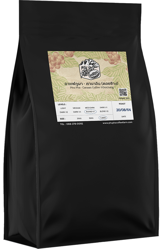 Phupha Coffee farm (ไร่กาแฟภูผา คานาอัน) 22